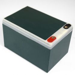 Batterie 6-DZM-12 12V12Ah de quad électrique