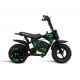 Mini Moto E superbike 250 W