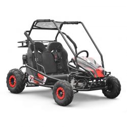 Buggy 212cc enfant 2 places PANTHER