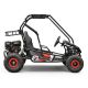 Buggy 212cc enfant 2 places PANTHER