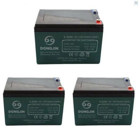 lot de 3 Batterie 6-DZM-12 12V12Ah de quad électrique - Funridestore