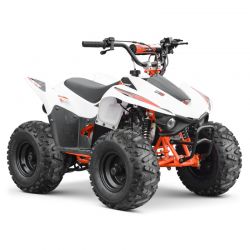 QUAD 250CC APOLLO SANO PREDATOR - Funridestore