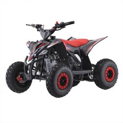 QUAD 250CC APOLLO SANO PREDATOR - Funridestore