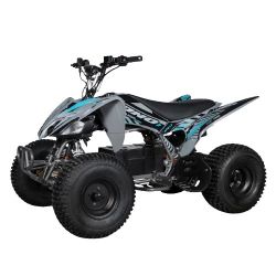 QUAD ÉLECTRIQUE SANO PREDATOR 1500W 2024