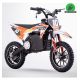 Pro bike SX 1000W