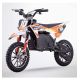 Pro bike SX 1000W