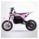 Pro bike SX 1000W