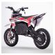 Pro bike SX 1000W
