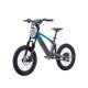 DRAISIENNE ÉLECTRIQUE SANO SEDNA SX 18" 2024