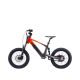 DRAISIENNE ÉLECTRIQUE SANO SEDNA SX 18" 2024
