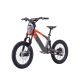 DRAISIENNE ÉLECTRIQUE SANO SEDNA SX 18" 2024