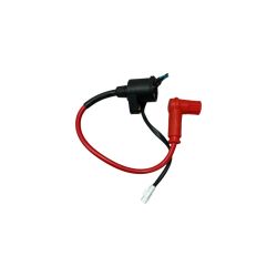 Bobine d'allumage Bastos 250cc