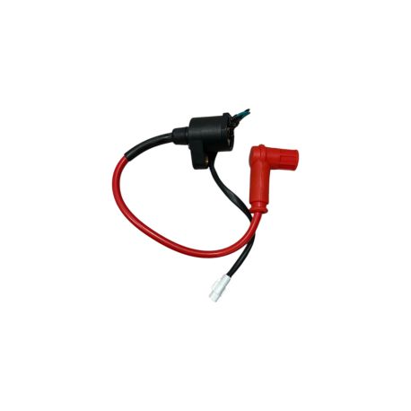 Bobine d'allumage Bastos 250cc Bobine d'allumage Bastos 250cc