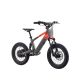 DRAISIENNE ÉLECTRIQUE SANO SEDNA SX 16" 2025