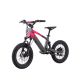 DRAISIENNE ÉLECTRIQUE SANO SEDNA SX 16" 2025