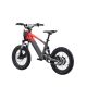 DRAISIENNE ÉLECTRIQUE SANO SEDNA SX 16" 2025