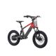 DRAISIENNE ÉLECTRIQUE SANO SEDNA SX 16" 2025