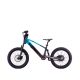 DRAISIENNE ÉLECTRIQUE SANO SEDNA SX 20" 2025
