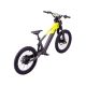 DRAISIENNE ÉLECTRIQUE SANO SEDNA SX 20" 2025