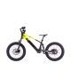 DRAISIENNE ÉLECTRIQUE SANO SEDNA SX 20" 2025