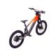 DRAISIENNE ÉLECTRIQUE SANO SEDNA SX 20" 2025