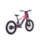 DRAISIENNE ÉLECTRIQUE SANO SEDNA SX 20" 2025