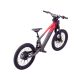 DRAISIENNE ÉLECTRIQUE SANO SEDNA SX 20" 2025