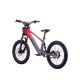 DRAISIENNE ÉLECTRIQUE SANO SEDNA SX 20" 2025