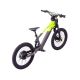 DRAISIENNE ÉLECTRIQUE SANO SEDNA SX 20" 2025