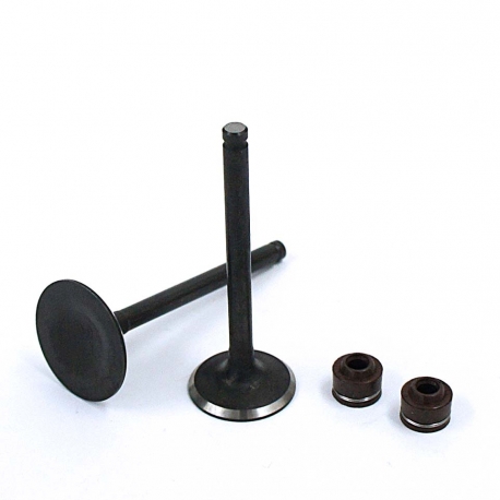 Soupapes ø23mm / ø27mm YX 140cc / 149cc - 1P56 Soupapes ø23mm / ø27mm YX 140cc / 149cc - 1P56