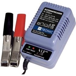 Chargeur Batterie 2V-6V-12V